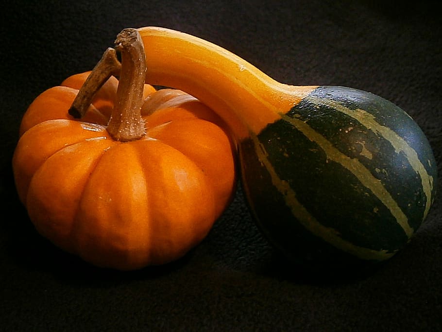calabaza, mini calabazas, calabaza miniatura, decorativa, acanalada, naranja, mini calabaza, otoño, verduras, decoración