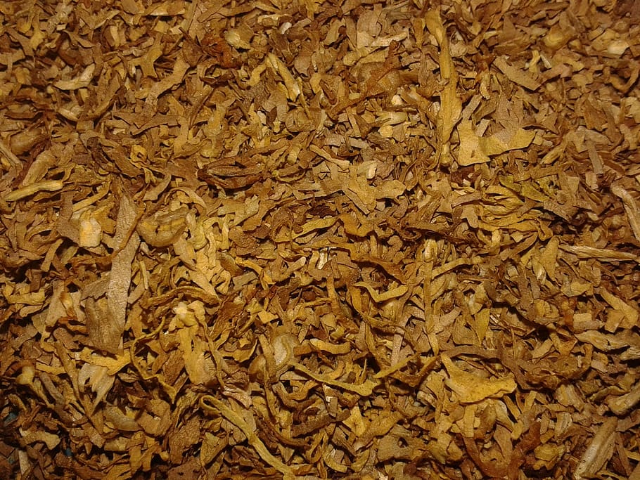 tobacco, cigarette, cigar, dry, full frame, backgrounds, plant part, leaf, autumn, abundance