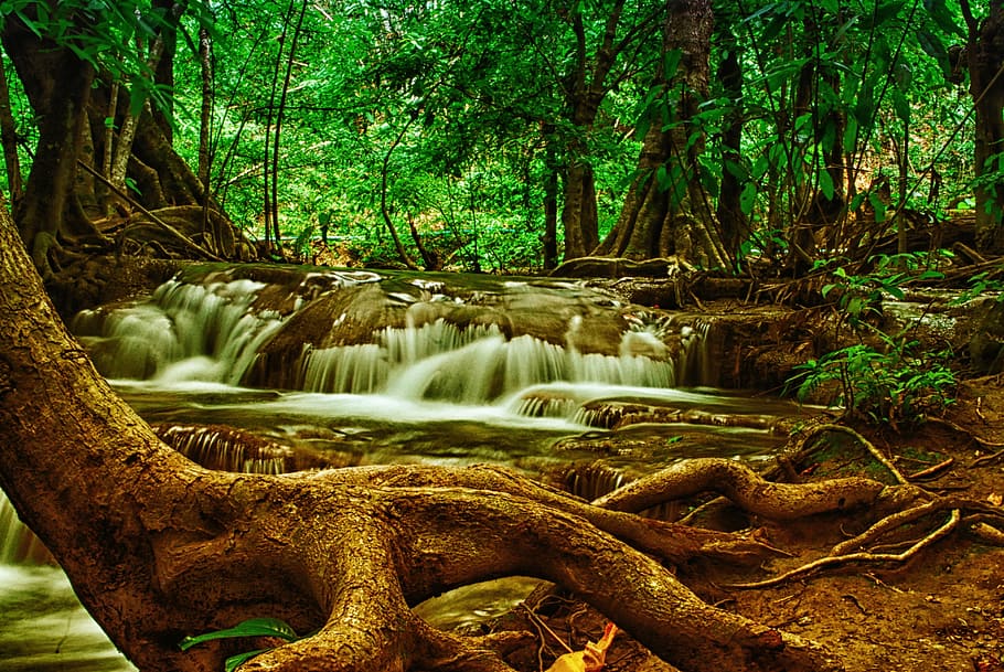 timelapse photo, forest river, tree, waterfall, forest, nature, national-park, thailand, woods, tropical Rainforest