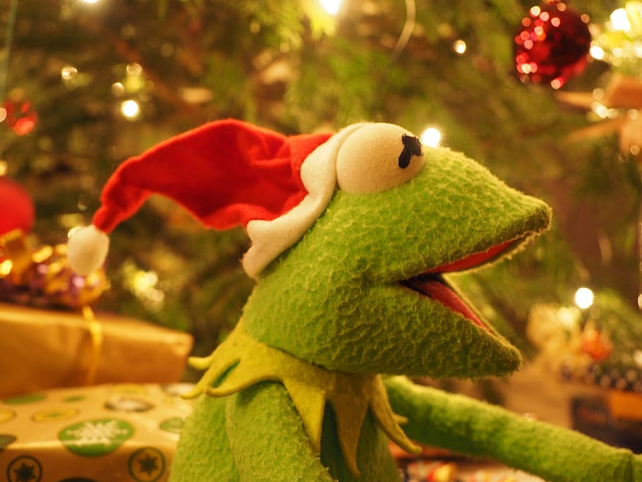 kermit, frog, christmas frog, christmas, santa claus, cheerful, funny, good mood, celebration, holiday