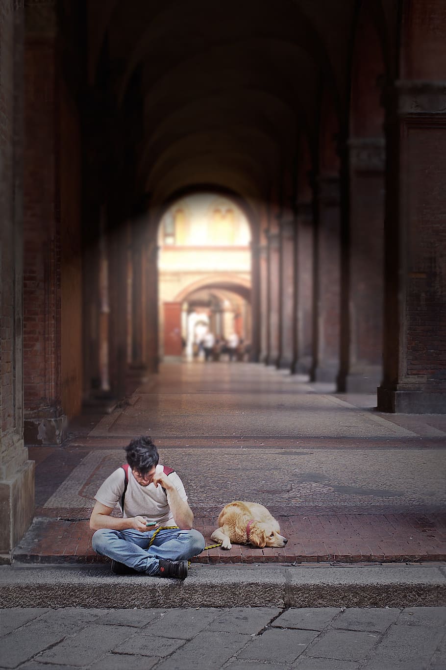 Bolonia, Portici, Porche, Italia, arquitectura, perro, chico, mascotas, arco, un animal