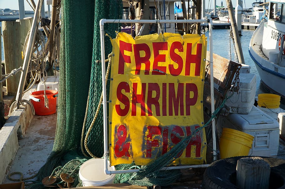 pesca, camarones, letrero, barco, mariscos, océano, alimentos, marina, etiqueta, gambas