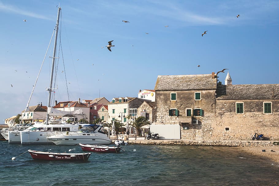 croatia, sea, primosten, boats, shore, town, seaside, seagull, bird, sky