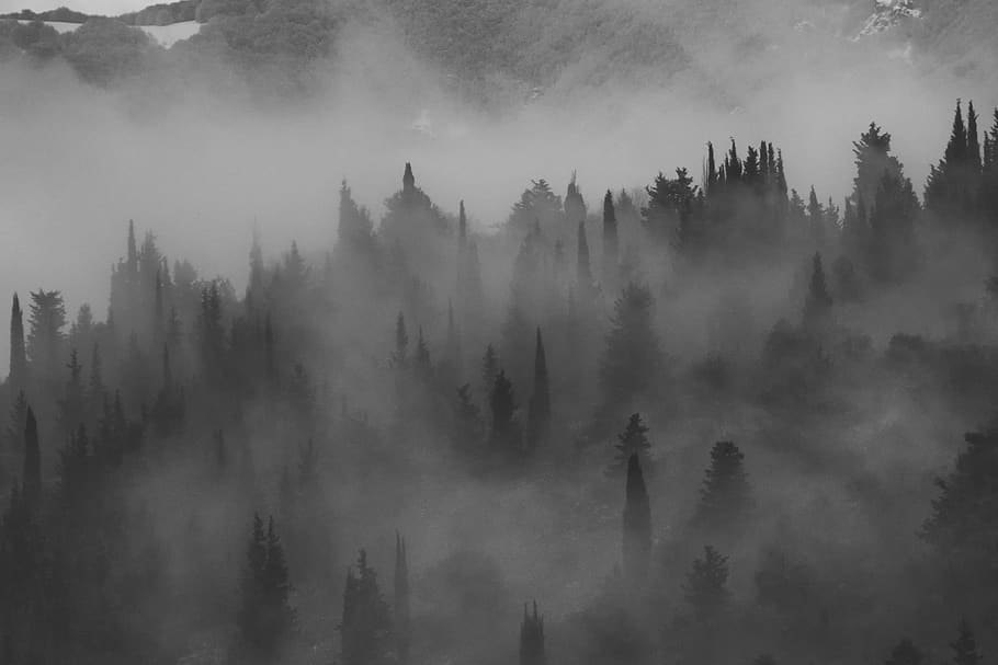 fog, foggy, hills, landscape, forest, trees, mist, haze, dark, mood