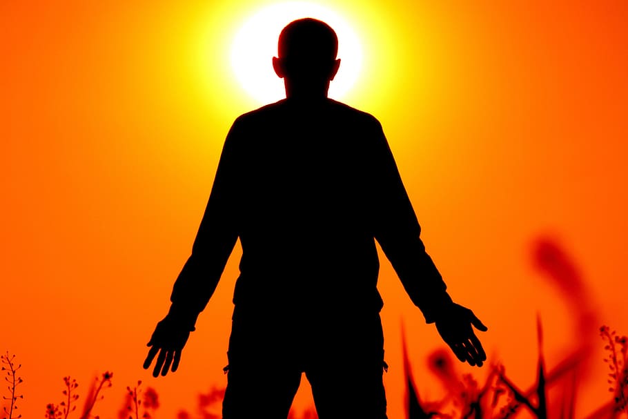 silhueta, pessoa, em pé, campo de grama, frente, laranja, pôr do sol, foto, homem, grama