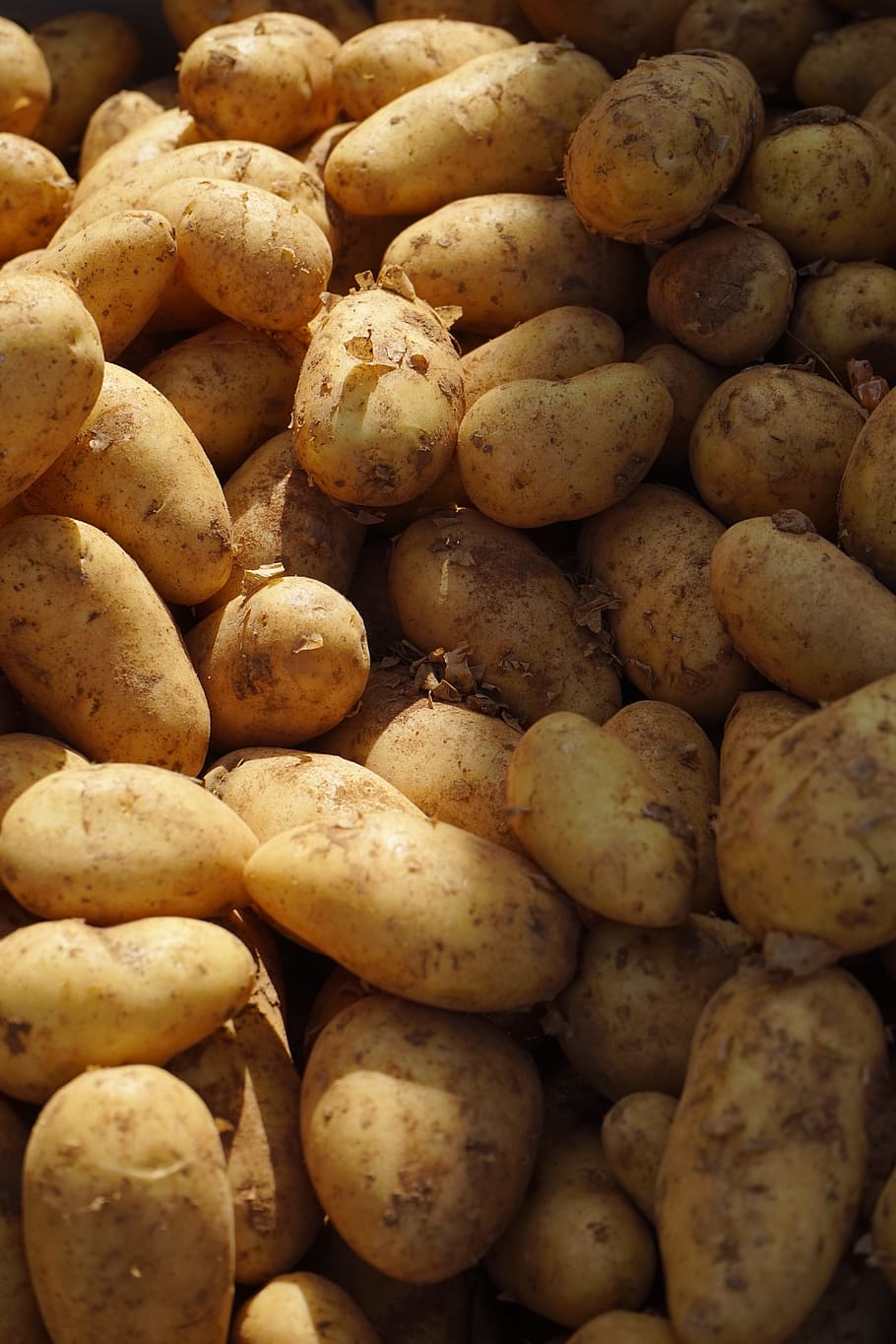 Potatoes, Market, Vegetables, Food, food and drink, healthy eating, large group of objects, close-up, freshness, abundance