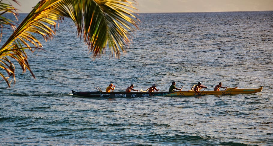 canoeing, hawaii, sea, boat, outrigger canoe, water, nautical vessel, transportation, waterfront, real people