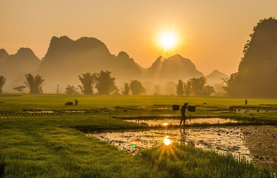 landscape, landscape vietnam, mountains, rivers, clouds, sunshine, rice, fields, light, ray