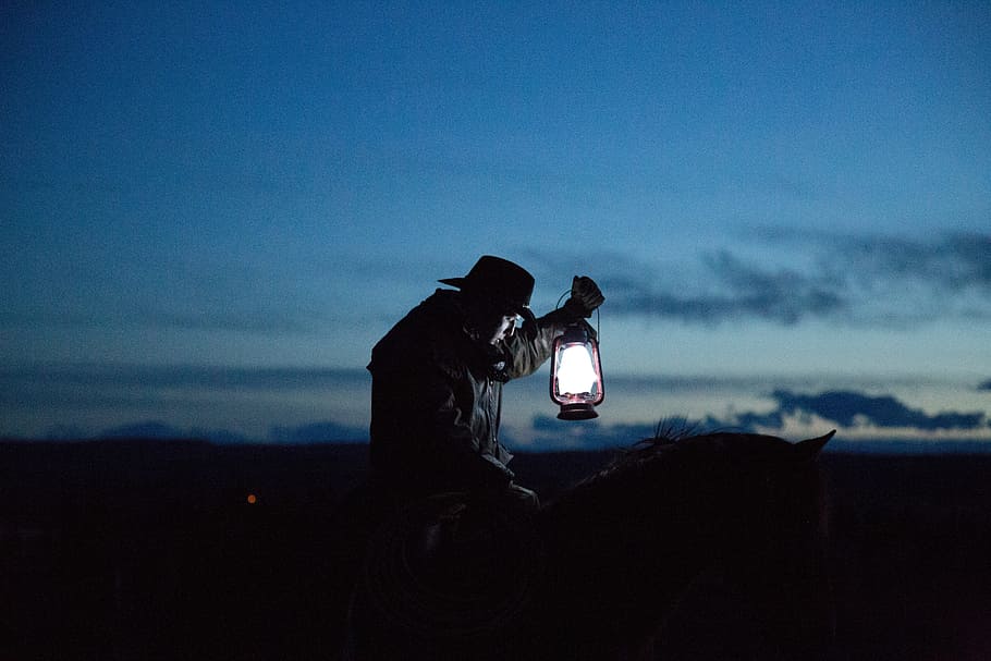 foto siluet, orang, memegang, lampu minyak tanah, gelap, manusia, lampu, cahaya, naik, kuda