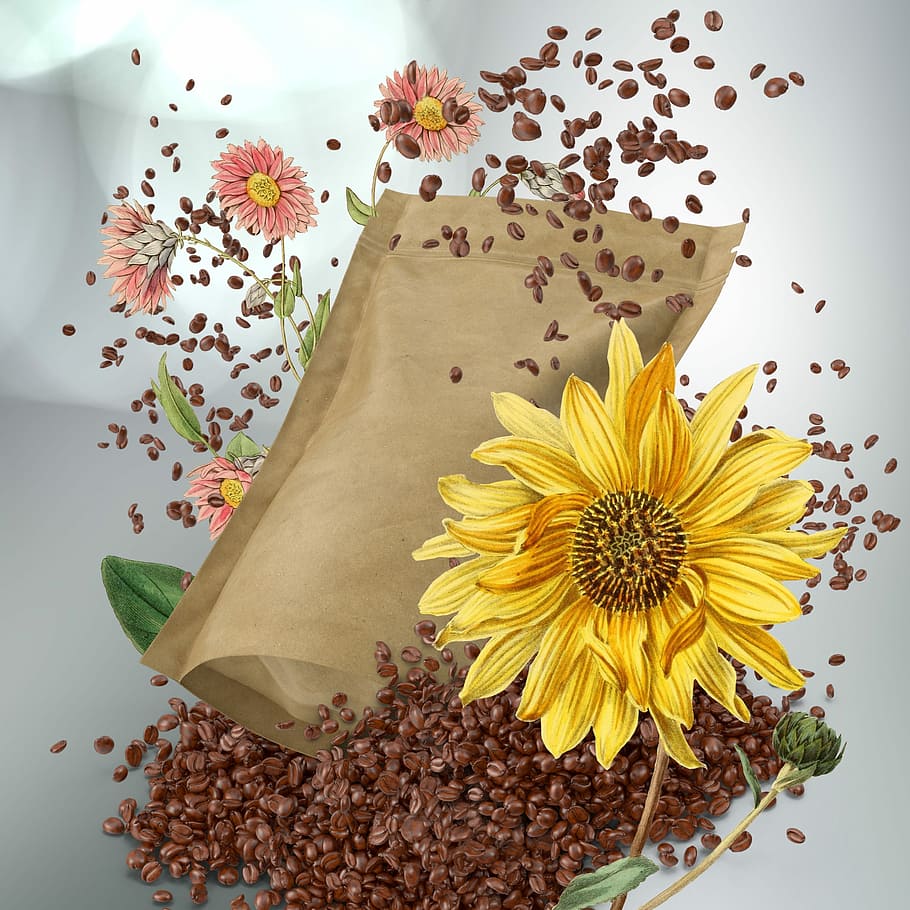 yellow, sunflower flower painting, coffee, morning, coffee beans, flower,  plant, sun flower, macro, breakfast | Pxfuel