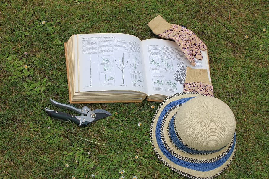 jardinagem, livro, chapéu de sol, luvas de jardim, primavera, verão, estação, poda, tesouras de podar, reduzir