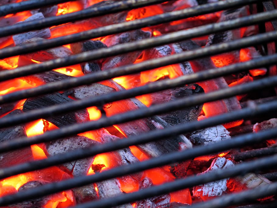 churrasco, brasas, carbono, churrasqueira, carvão vegetal, quente, calor, brilho, ardente, fogo