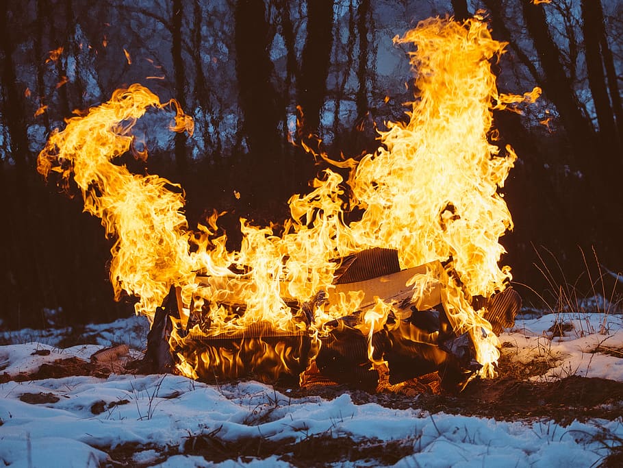 close-up, bonfire, surrounded, trees, burning, house, snowy, field, nighttime, fire