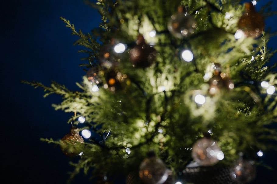 pohon Natal kabur, pohon Natal, kabur, lampu, lampu Natal, ruang copy, hari Natal, pohon, angkatan laut, biru
