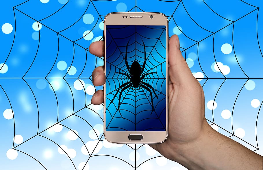 smartphone, mão, web, teia de aranha, aranha, internet, rede, social, rede social, logotipo