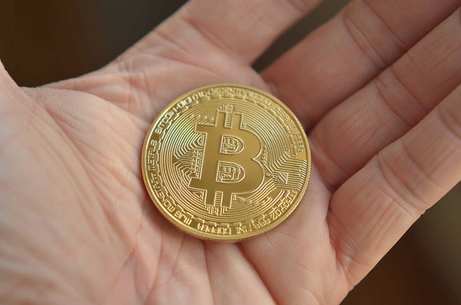 person, holding, round gold-colored bitcoin coin, bitcoin, digital, money, decentralized, anonymous, electronic, coins