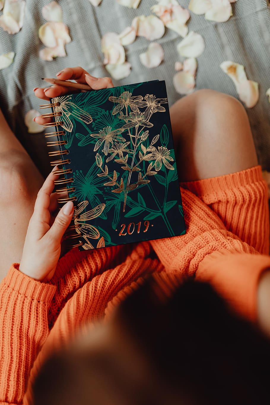 calendário, caderno, mulher, 2019, laranja, organizador, suéter, agarra, mãos, parte do corpo humano