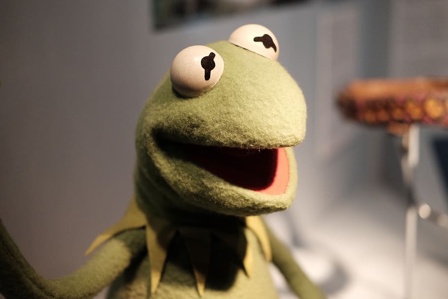 kermit the frog, the muppets, doll, green, mainan, humor, henson, entertainment, figure, fun