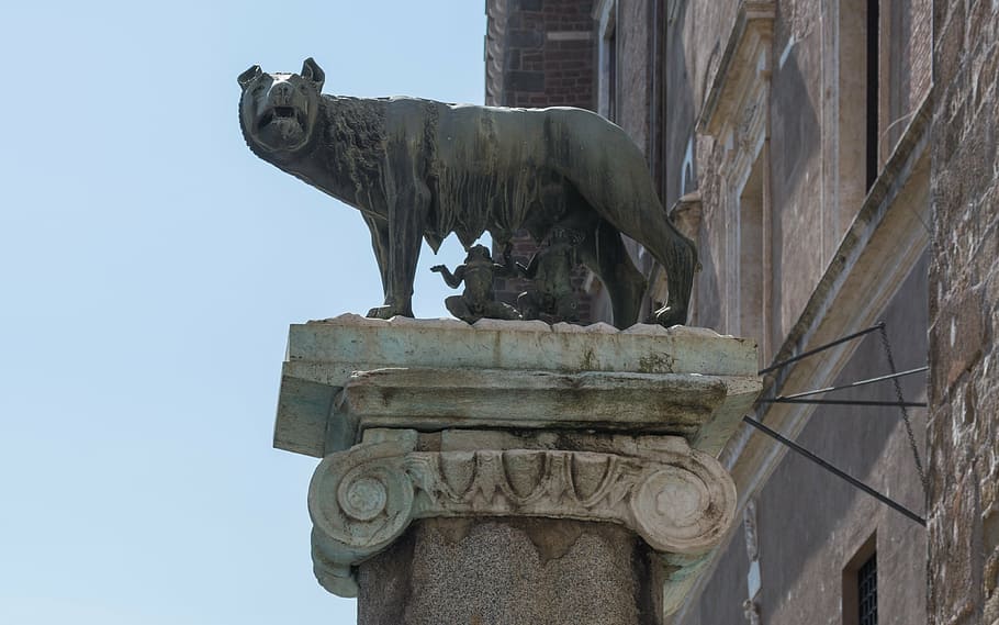 rome, capitoline wolf, place du capitole, capitol hill, sculpture, art and craft, statue, representation, history, the past