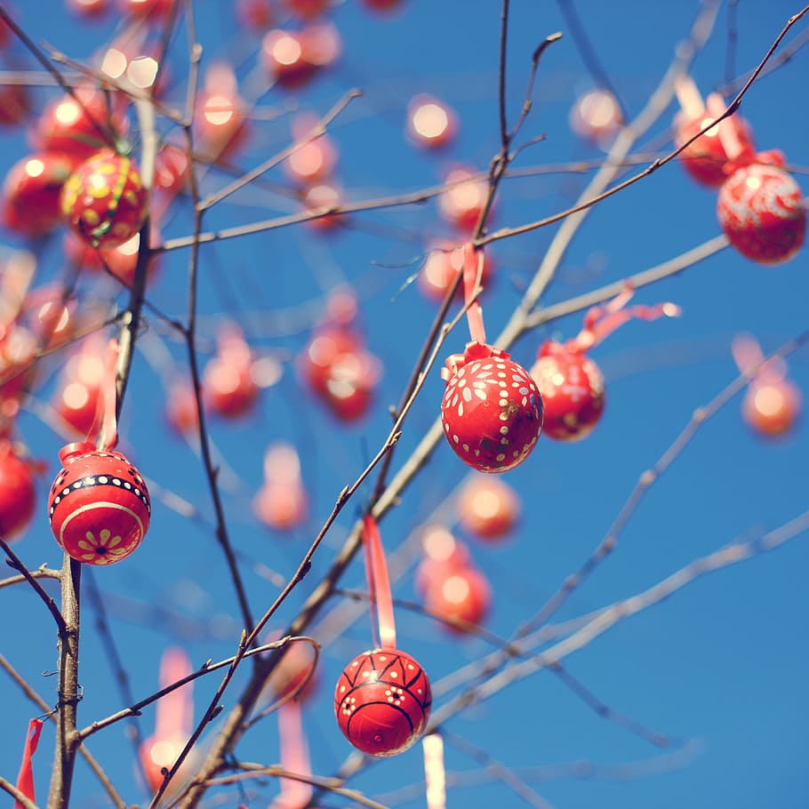 selective, focus photograph, red, bauble balls, branches, easter, egg, easter egg, colorful, decoration