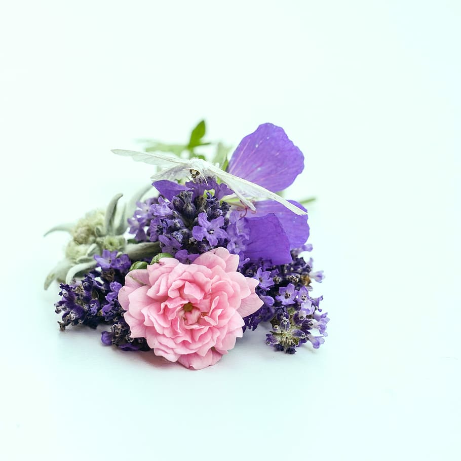 purple, pink, petaled flowers, gray, surface, still life, butterfly white, rose rosé, edelweiss, lavender
