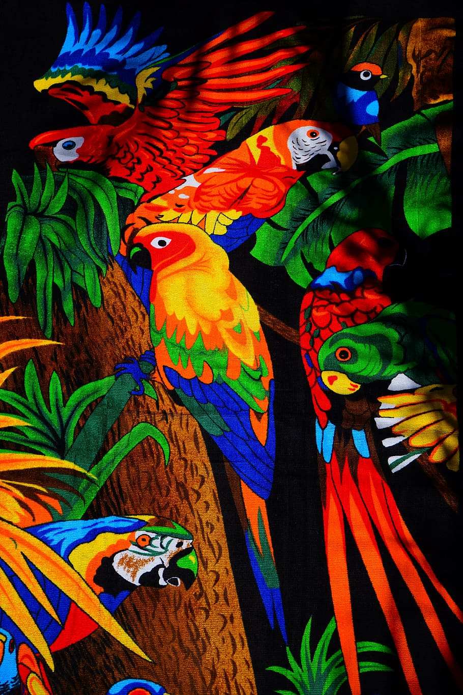 parrots, aras, lori, parakeet, birds, towel, bath towel, colorful, color, bench towel