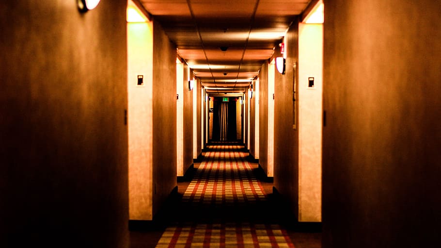 empty, brown, lighted, hallway, Hotel, Fear, Orange, Hall, hotel, fear, orange, hall