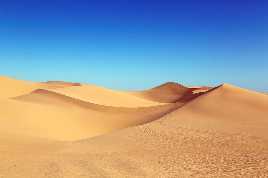 brown desert, desert, dune, algodones dunes, dunes, sand dunes, sand, nature, wide, sunlight