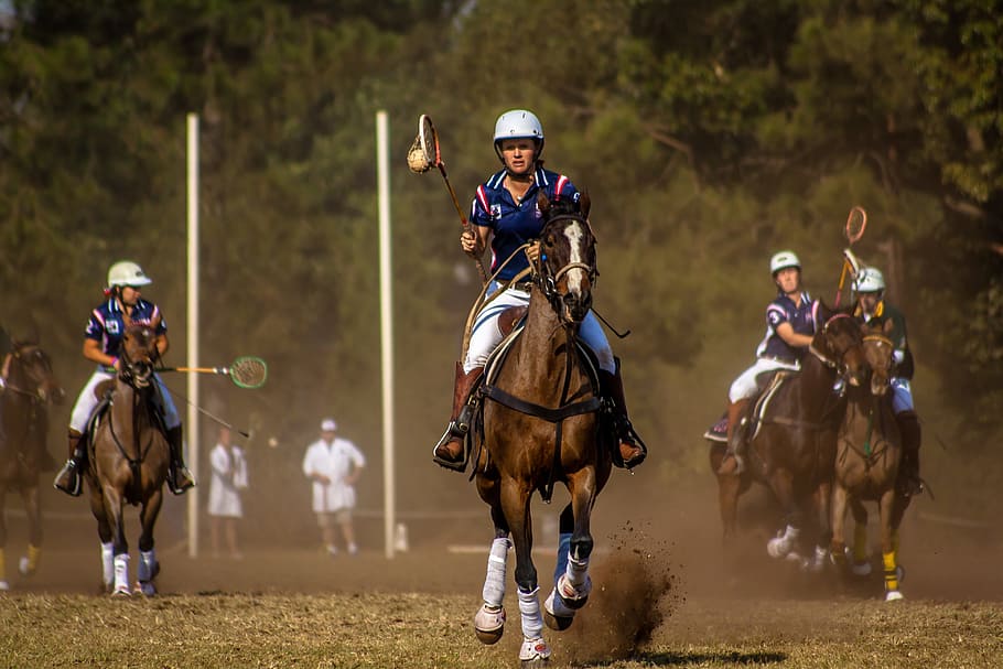 group, people, playing, polo game, sport, horse, polo cross, horseback, competition, racehorse