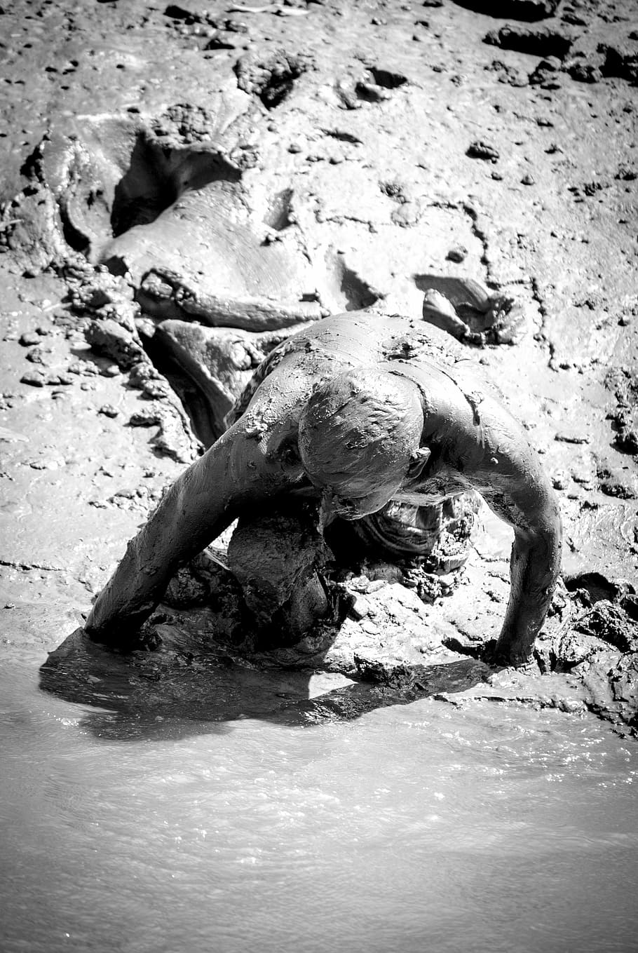 mud, man, water, human, person picking crab, day, nature, land, animal wildlife, one animal