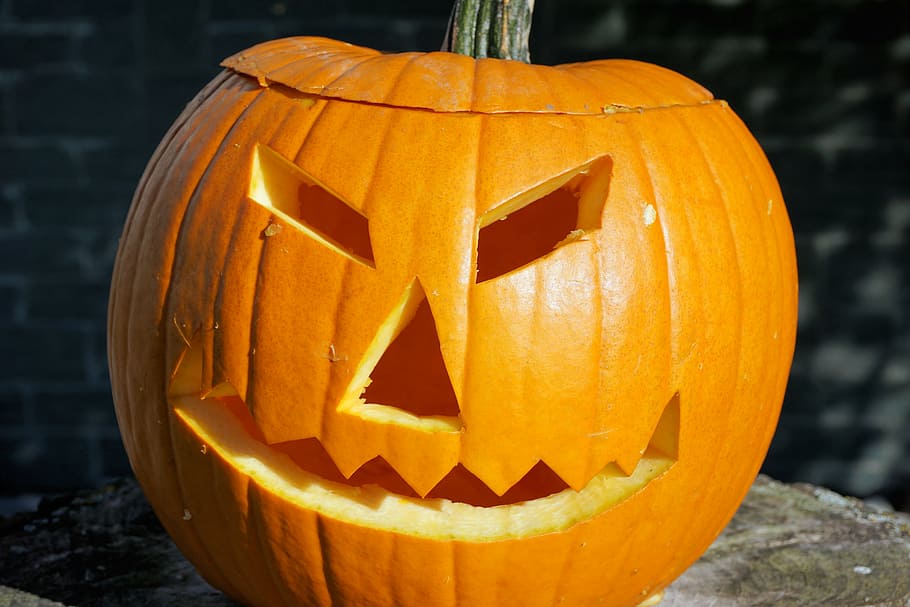 orange jack-o-lantern ornament, pumpkin, halloween, autumn, decoration, deco, autumn decoration, decorative squashes, gourd, halloweenkuerbis
