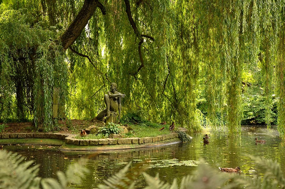 estátua, homem, sentado, ao lado de, rio, karlovy variar, república tcheca, água, jardim, parque