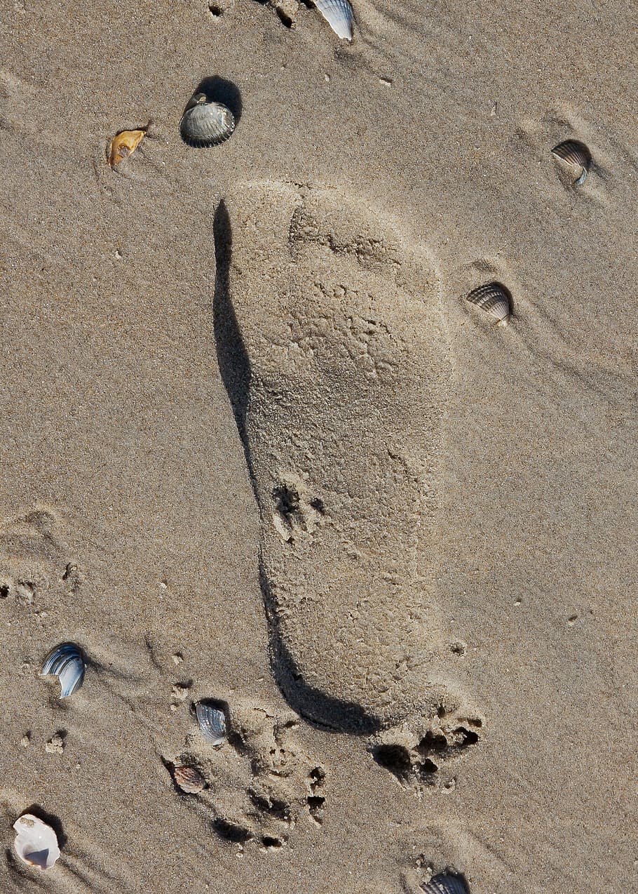 sand, beach, footprint, foot, holiday, wet, water, sand sculpture, nature, sand beach