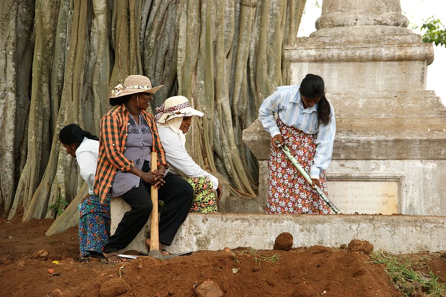 humano, adulto, dos, mujer, hombre, sri lanka, vestimenta, grupo de personas, vestimenta tradicional, hombres