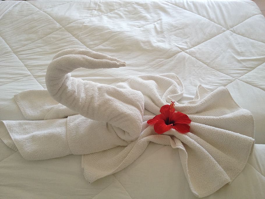 red, hibiscus, white, towel, close, swan, flower, holiday, hotel, bed