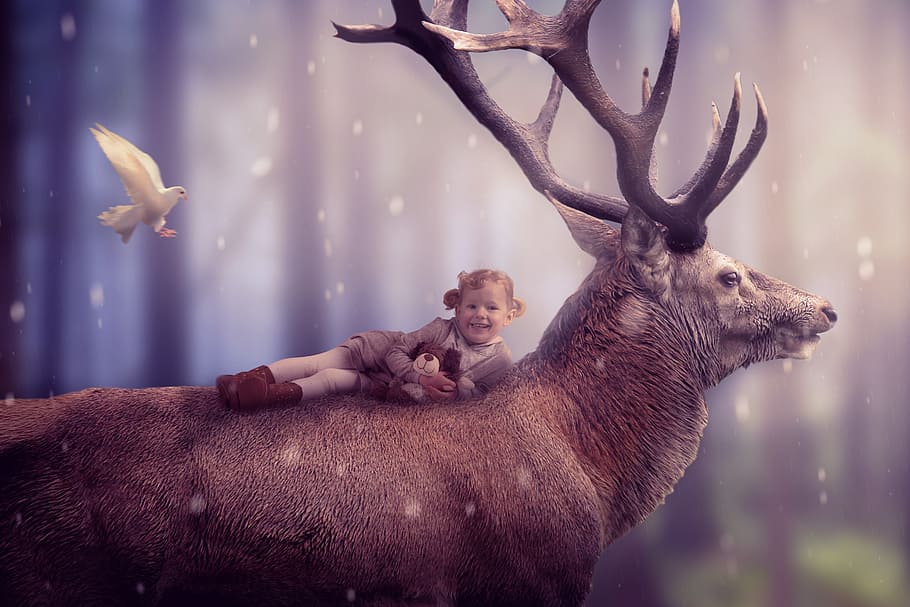 girl, wearing, gray, cardigan, brown, deer illustration, mammal, hirsch, animal world, nature
