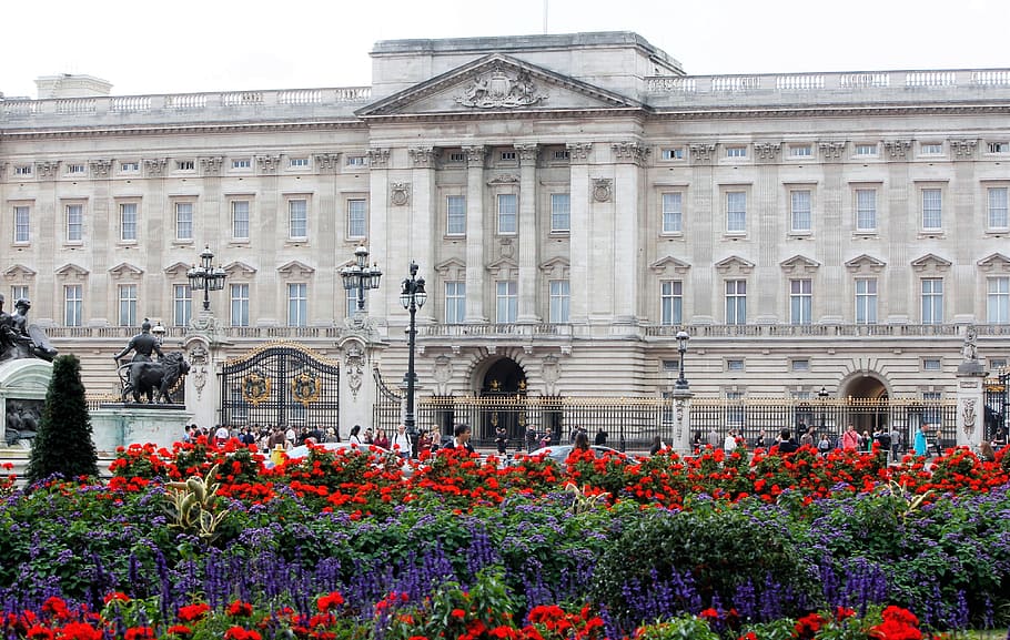 backingham palace, royal, castle, Palace, Royal Castle, landmark, london, k, flower, building exterior