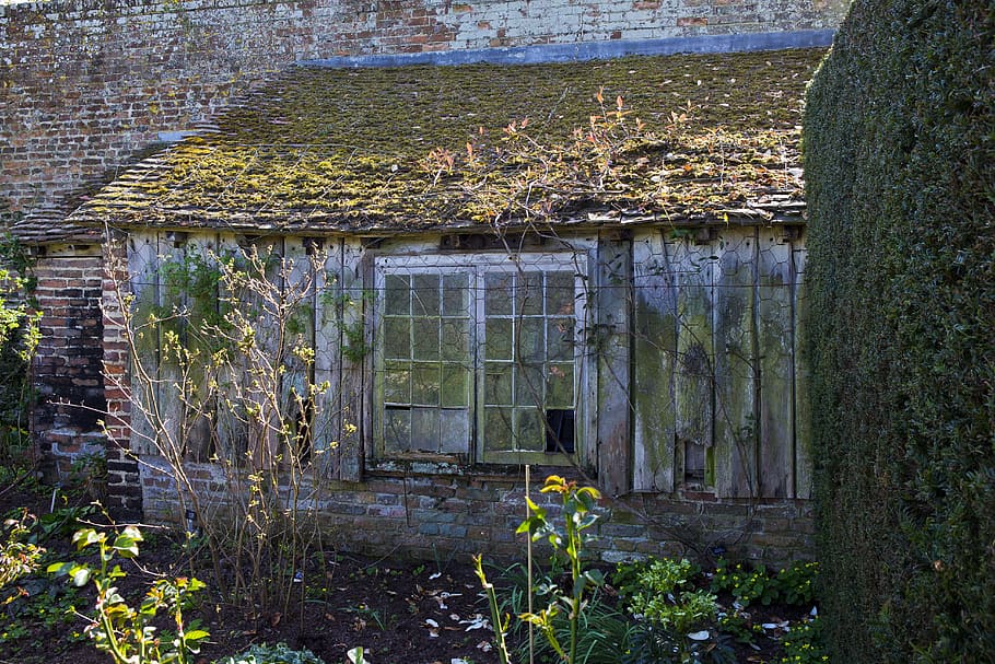 disused potting shed, lean-to, broken windows, old cladding, roof tiling, brickwork, garden, hedge, exterior, structure