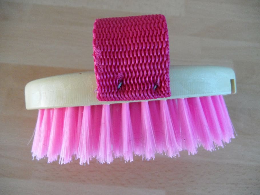 brush, horse brush, clean horse, curry, pink, pink color, indoors, hygiene, still life, close-up
