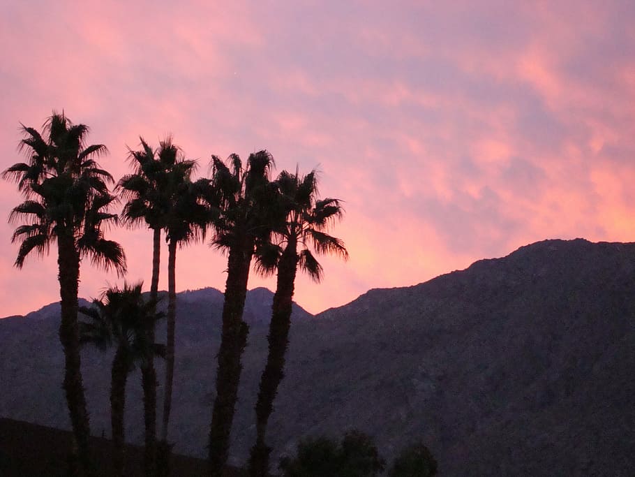 foto de silueta, cuatro, palmeras, durante el día, palm springs, california, montañas, puesta de sol, colorido, nubes