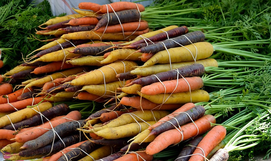 red, black, carrots, vegetable, food, carrot, bunch, market, nature, root