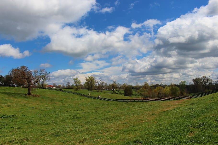 meadow, sky, clouds, vast, open, space, spring, field, green, summer