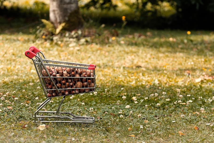 shopping cart, walnuts, hazelnuts, food, tasty, shell, nuts, eat, walnut, brown