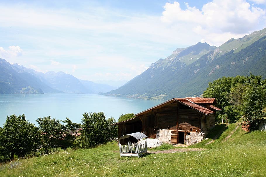 casa, cuerpo, agua, Oberland bernés, Brienz, lago de Brienz, Suiza, montañas, alpino, paisaje