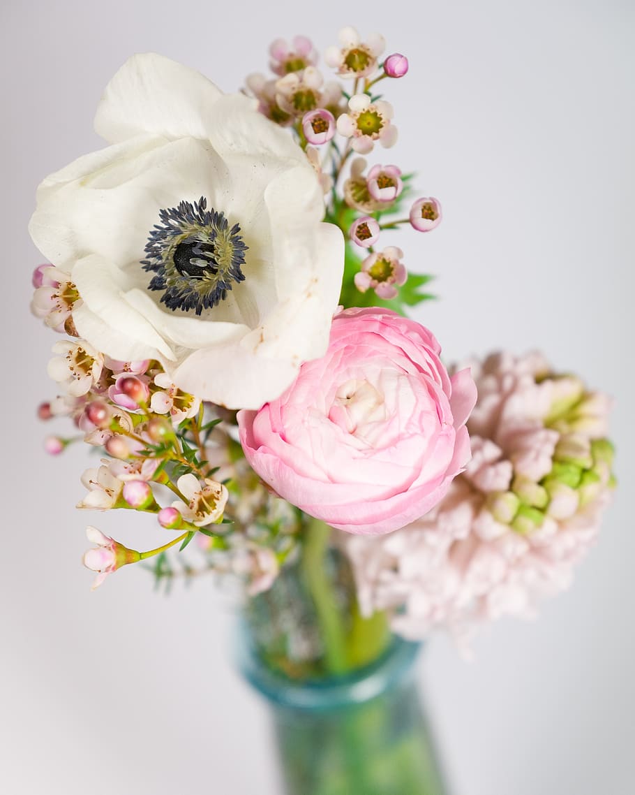 fotografía de primer plano, blanco, rosa, flores, ramo, bokeh, anémona, ranúnculo, jacinto, color rosa