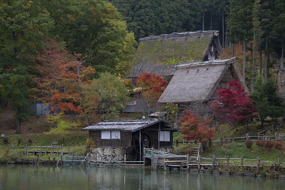 Moinho, Japão, Lagoa, Tranquilidade, Árvores, relaxamento, jardim japonês, natureza, casa, água