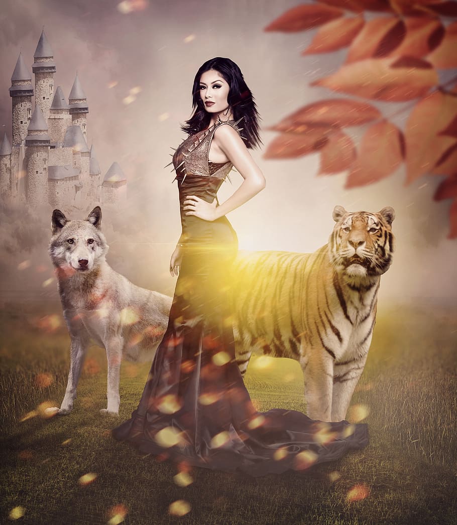 lion, wolf, darkness, king, queen, predator, animal, giraffe, manipulation, photoshop