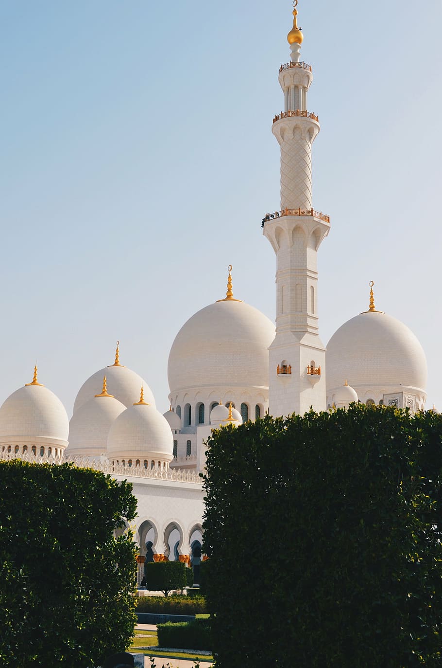 mezquita, Abu Dhabi, musulmán, religión, oración, plantas, jardín, torre, escultura, estatua