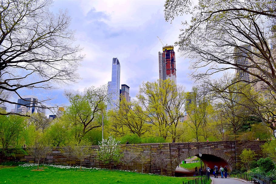 Central Park, Nyc, Spring, Manhattan, central, park, city, architecture, cityscape, outdoor