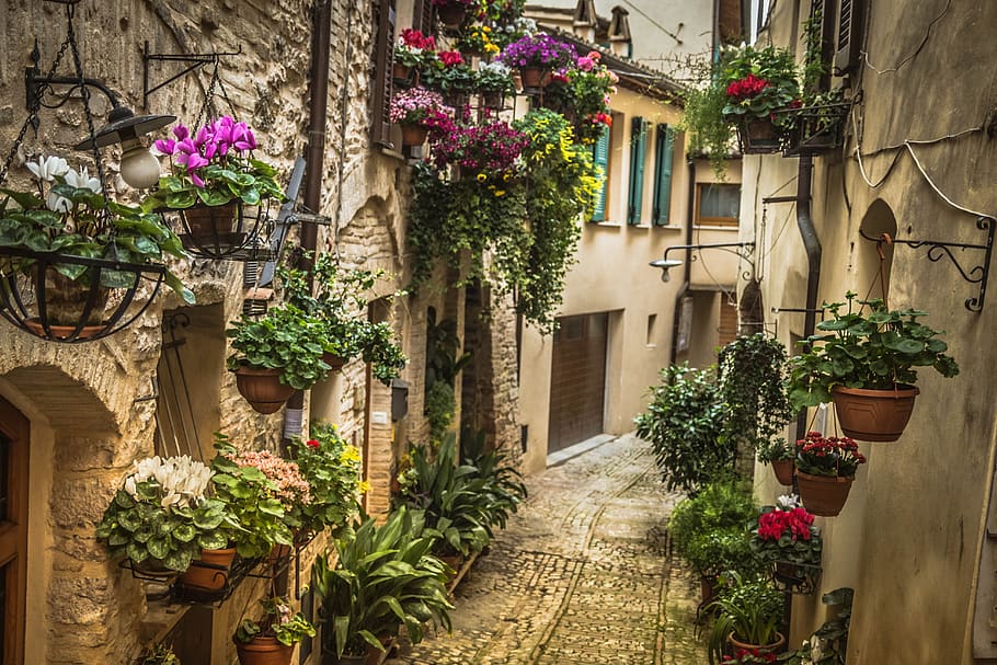 umbria, italy, alley, architecture, construction, historian, trip, old, tourism, city